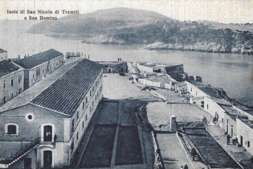Tremiti, Isole di San Nicola e San Domino. Cartolina_500x333